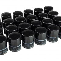 Фильтр масляный Suzuki DF70A-140A, УПАК 24 шт. 1651061A31