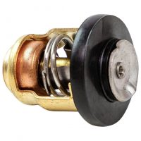 Термостат Yamaha 8-9.9, Omax