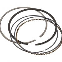 Кольца поршневые Suzuki DF200T-250T (STD)