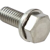 Screw